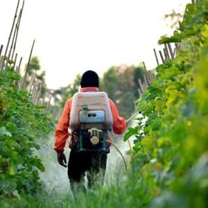 pesticide