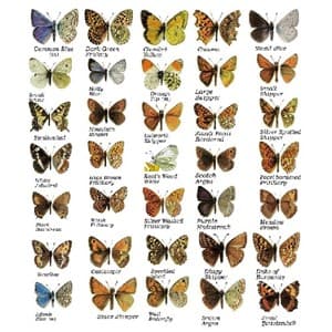 species