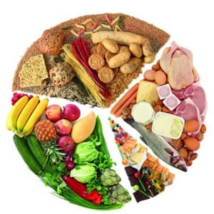 nutrition