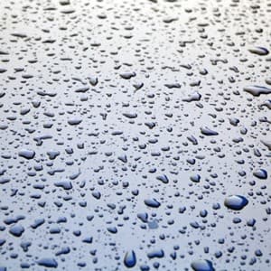 moisture