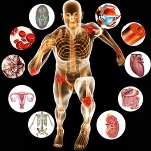 physiology
