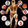 physiology