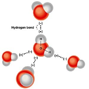 molecule