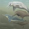 aquatic