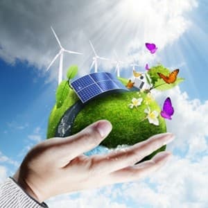 ecology