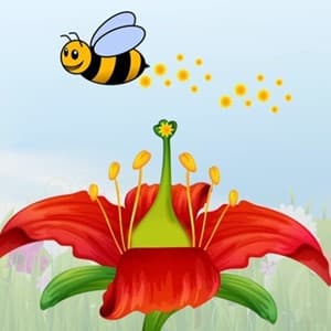 reproductive