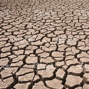 barren