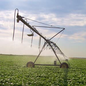 irrigate