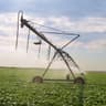 irrigate