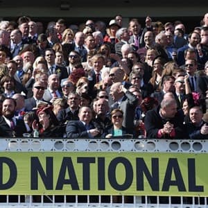spectator