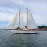 mast