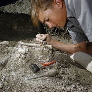 archeological