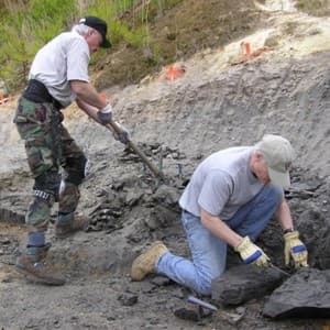 excavate