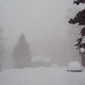 blizzard