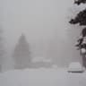 blizzard