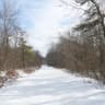 frigid