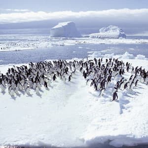 glacial
