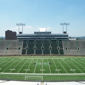 turf