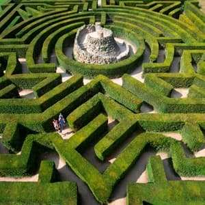 maze